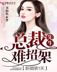 新婚第1天，总裁先生难招架新婚第1天，总裁先生难招架